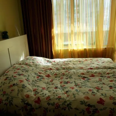 Sunshine D Apartament