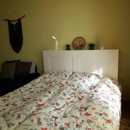 Apartament Sunshine D Varna